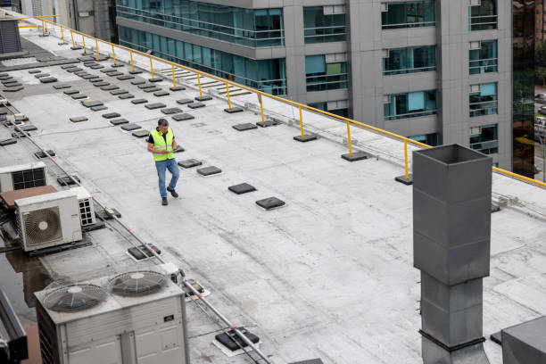 Best Cold Roofs  in Stockton, IL