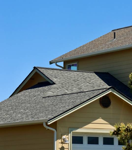 Best Roof Moss and Algae Removal  in Stockton, IL